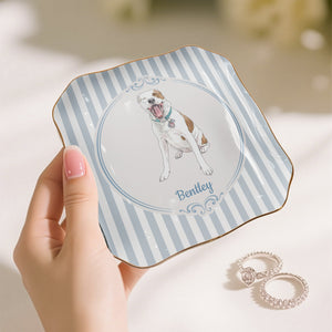Pet jewelry dish background patterns
