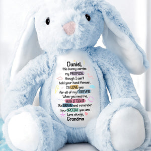 This Bunny Carries My Promise, Love You Forever - Personalized Stuffed Bunny - GRK078_BUN