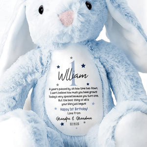A Year's Passed By, Oh How Time Has Flown, Happy 1st Birthday, Personalized Stuffed Bunny With Stars - Personalized Stuffed Bunny - BDAY007_BUN