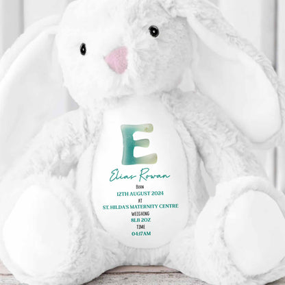 Celebrate Life's Precious Moments With Bunny - Personalized Stuffed Bunny - FAM773_BUN