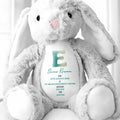 Celebrate Life's Precious Moments With Bunny - Personalized Stuffed Bunny - FAM773_BUN
