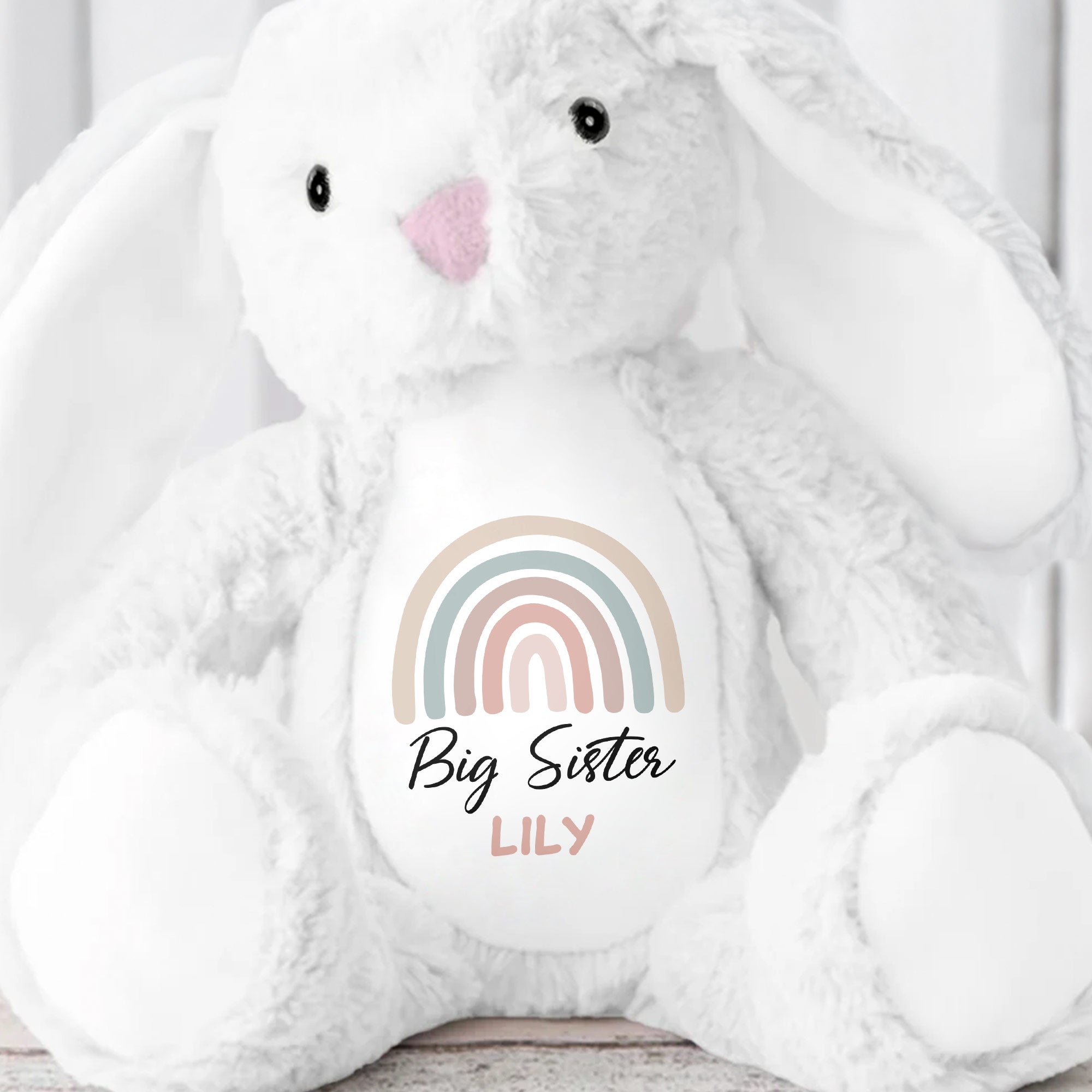Big Brother Colorful Rainbow Design Plush Toy - Personalized Stuffed Bunny - FAM835_BUN