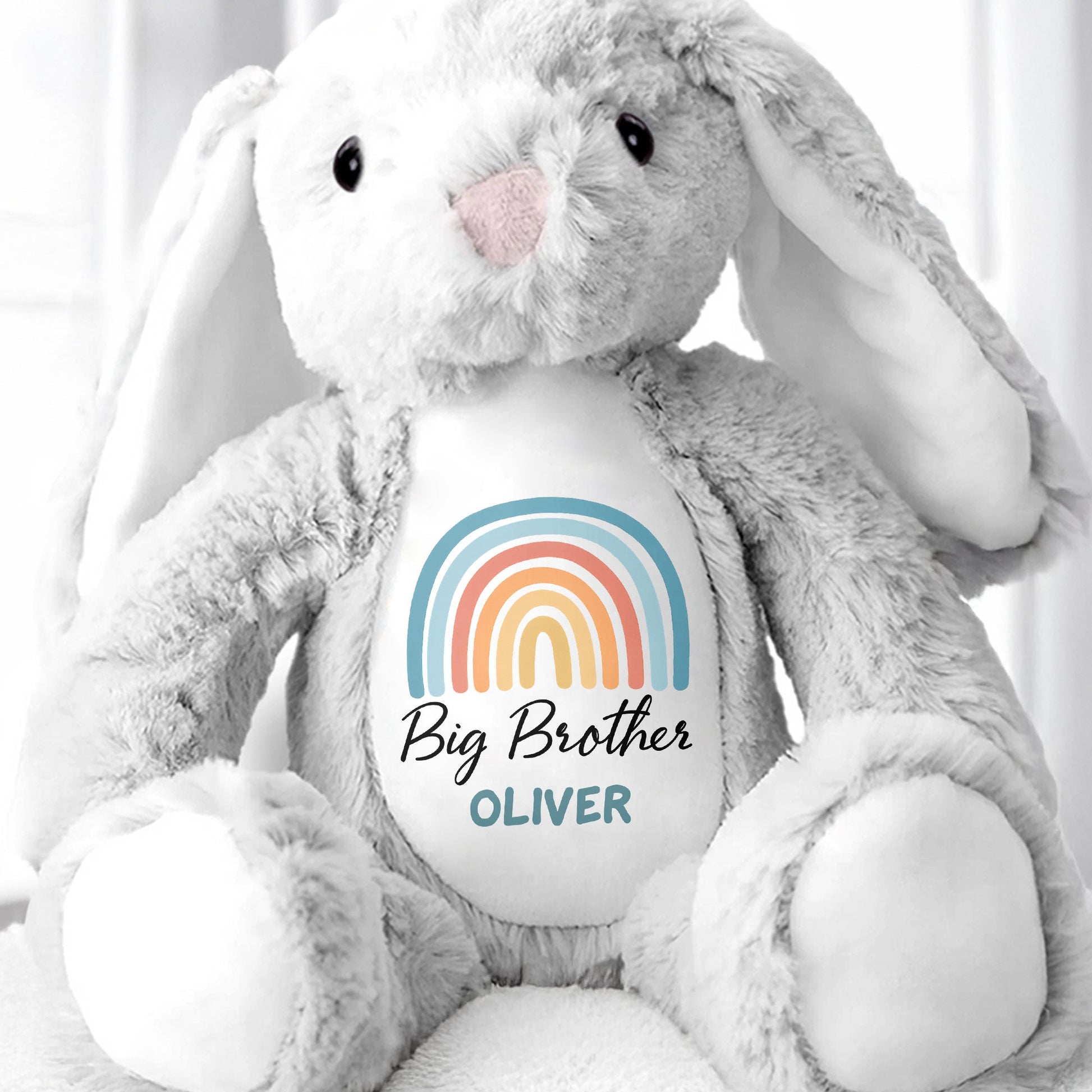Big Brother Colorful Rainbow Design Plush Toy - Personalized Stuffed Bunny - FAM835_BUN