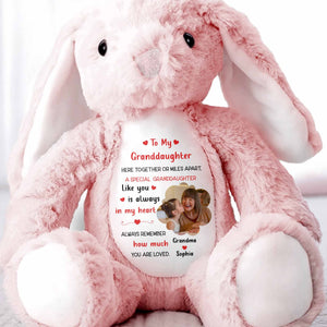 To My Granddaughter, A Special Granddaughter Like You - Personalized Stuffed Bunny - GDT603_BUN
