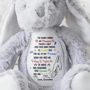 This Bunny Carries My Promise With Paws And Hearts - Personalized Stuffed Bunny - GRK097_BUN
