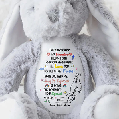 This Bunny Carries My Promise With Paws And Hearts - Personalized Stuffed Bunny - GRK097_BUN