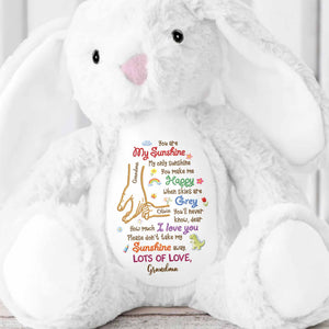 You Are My Sunshine Holding Hands Flowers And Dinosaur Personalized Plush - Personalized Stuffed Bunny - GRK122_BUN