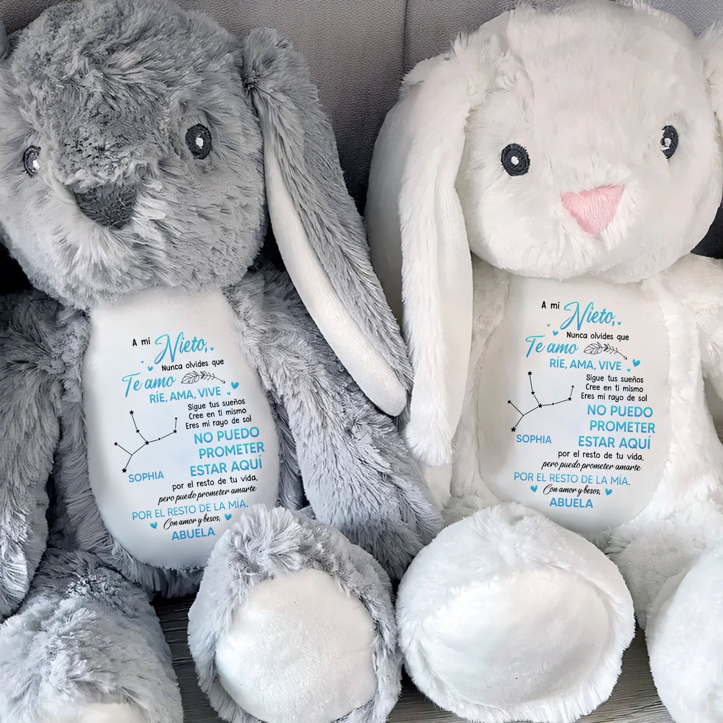 A Mi Nieto, Nunca Olvides Que Te Amo, Stuffed Bunny - Personalized Stuffed Bunny - GSN043_BUN