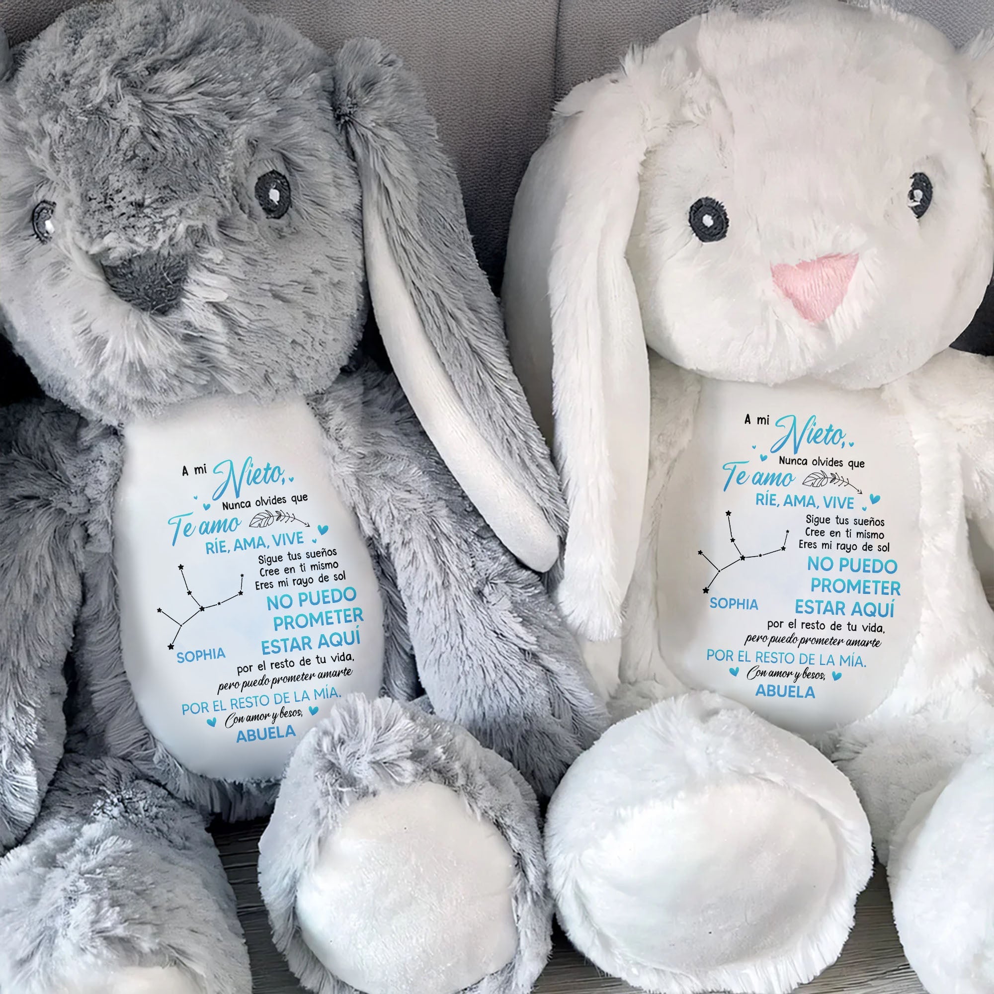 A Mi Nieto, Nunca Olvides Que Te Amo, Stuffed Bunny - Personalized Stuffed Bunny - GSN043_BUN