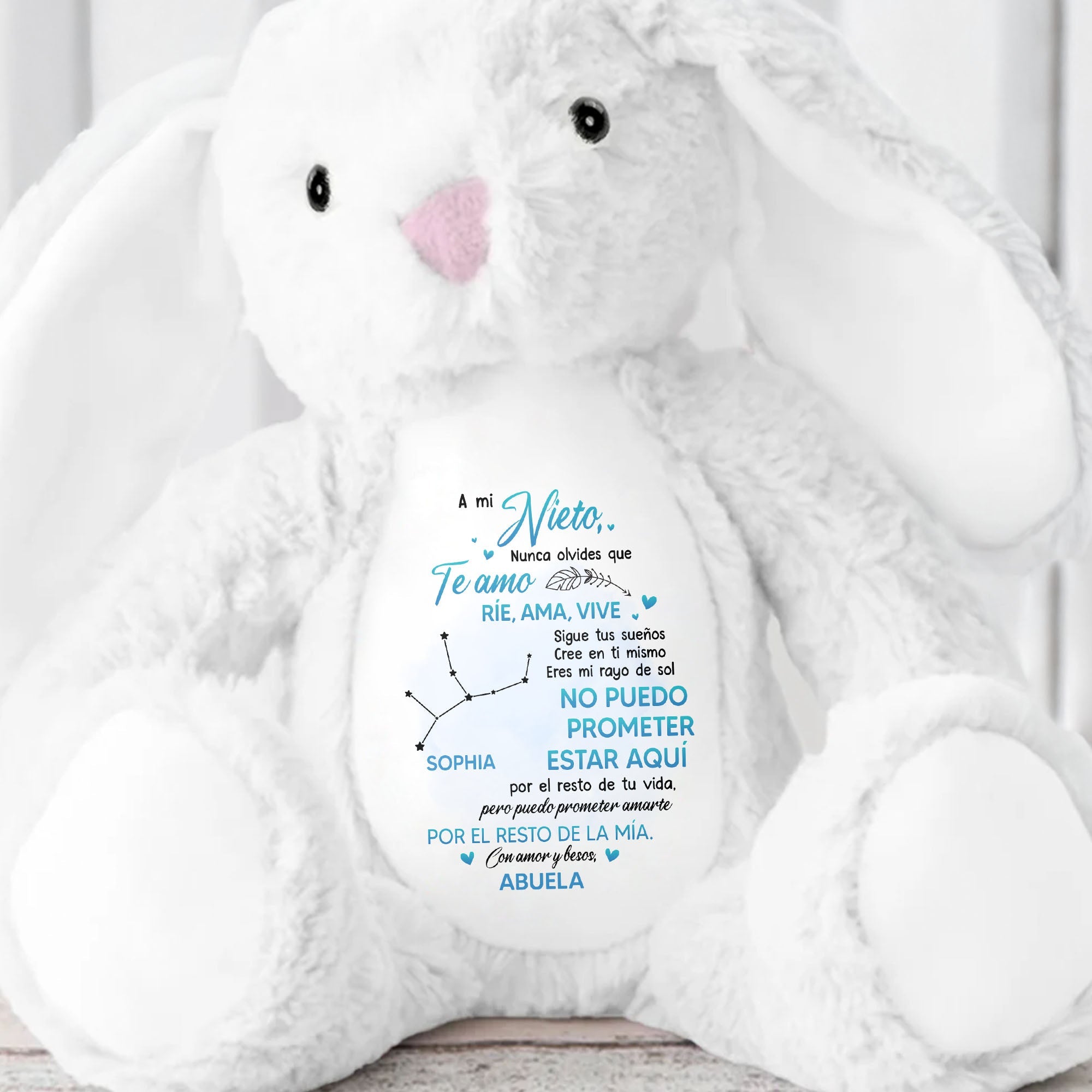 A Mi Nieto, Nunca Olvides Que Te Amo, Stuffed Bunny - Personalized Stuffed Bunny - GSN043_BUN