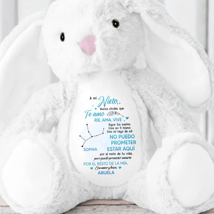 A Mi Nieto, Nunca Olvides Que Te Amo, Stuffed Bunny - Personalized Stuffed Bunny - GSN043_BUN