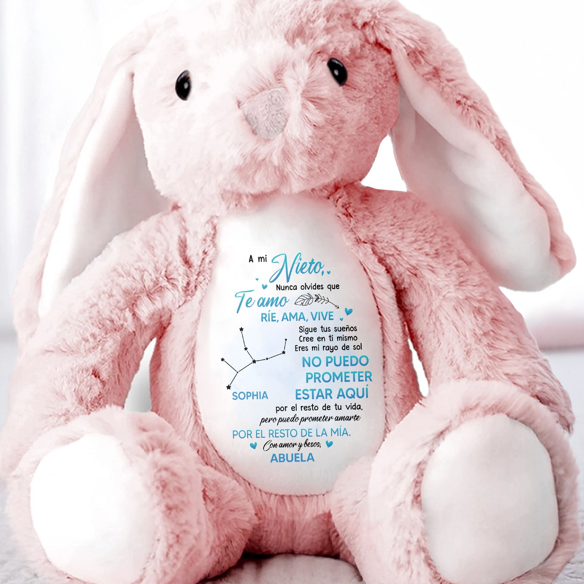 A Mi Nieto, Nunca Olvides Que Te Amo, Stuffed Bunny - Personalized Stuffed Bunny - GSN043_BUN