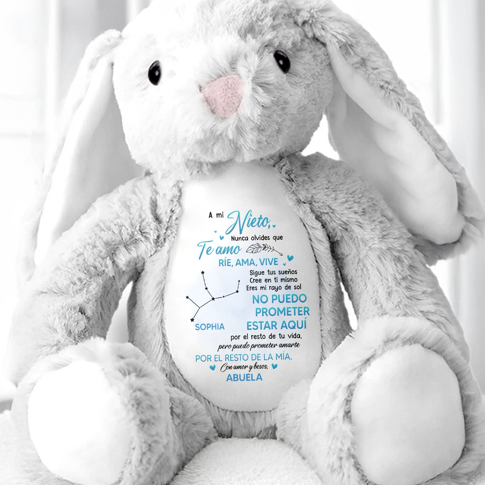 A Mi Nieto, Nunca Olvides Que Te Amo, Stuffed Bunny - Personalized Stuffed Bunny - GSN043_BUN