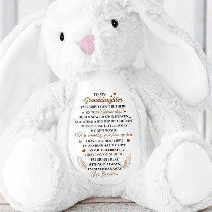 Special Little Hug Is My Gift To You, With Hearts - Personalized Stuffed Bunny - HME246_BUN