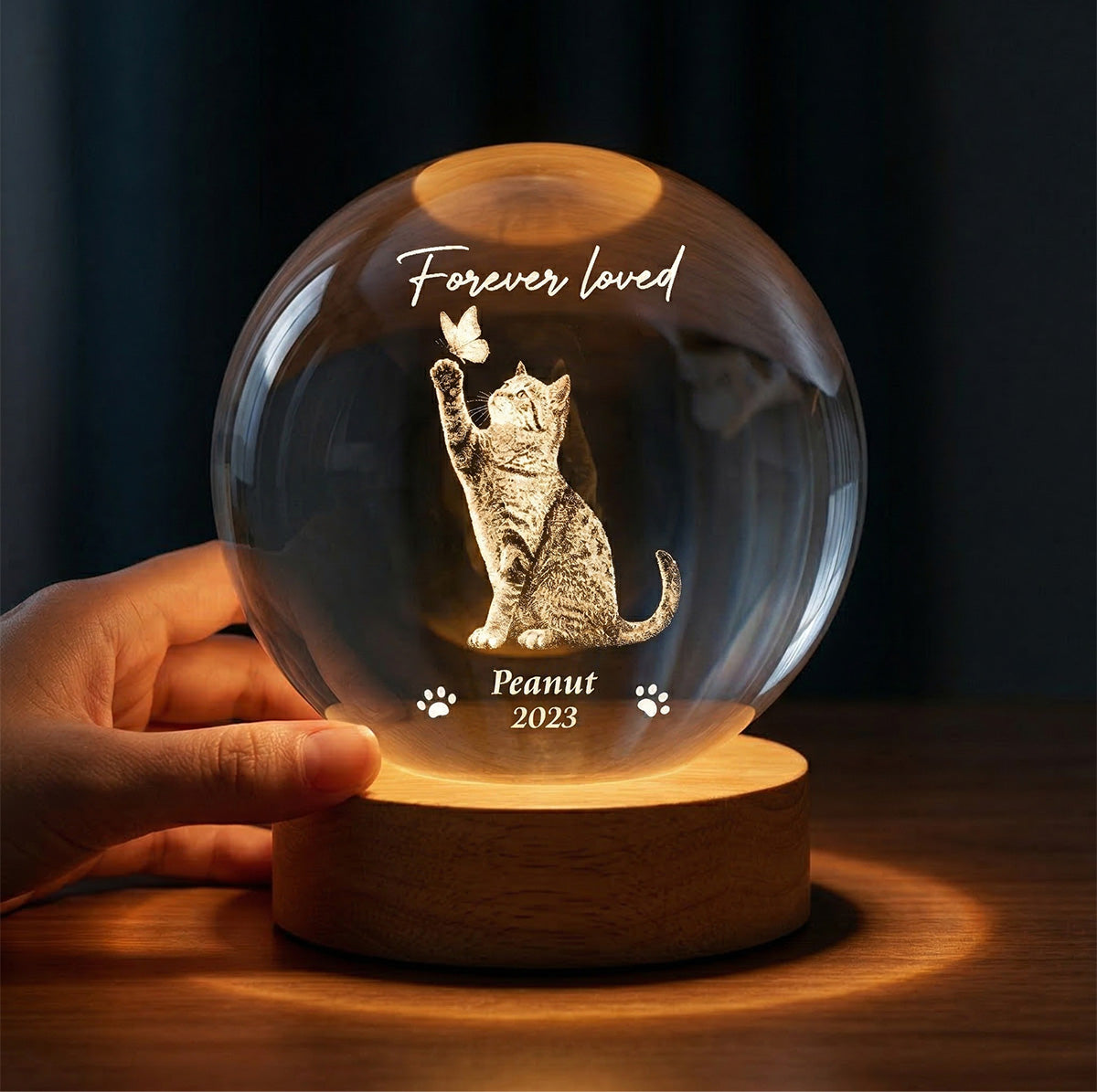 Forever In My Heart Memorial Cat Butterfly - Personalized Crystal Ball LED Night Light