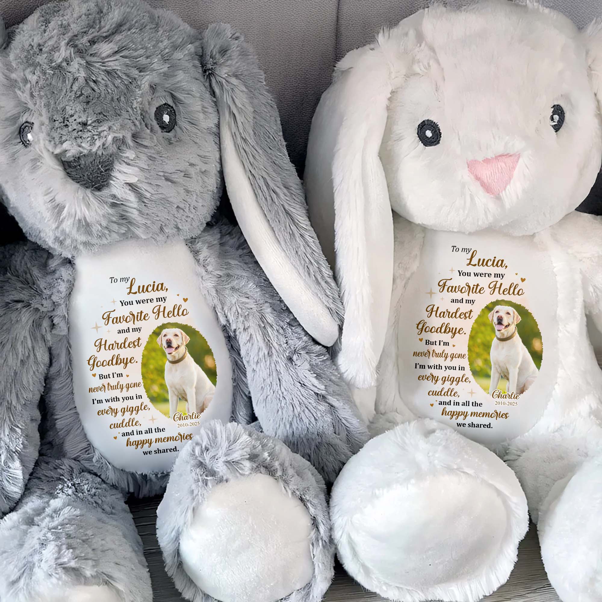 You Were My Favorite Hello, Stuffed Bunny And Dog - Personalized Stuffed Bunny - PME032_BUN