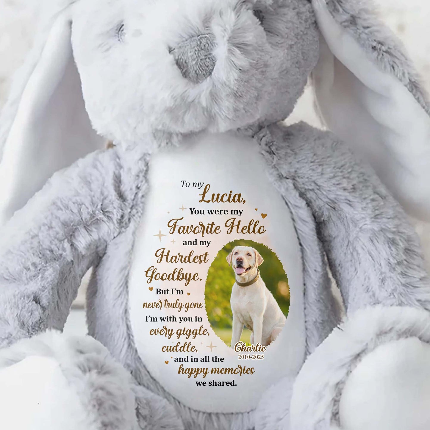 You Were My Favorite Hello, Stuffed Bunny And Dog - Personalized Stuffed Bunny - PME032_BUN